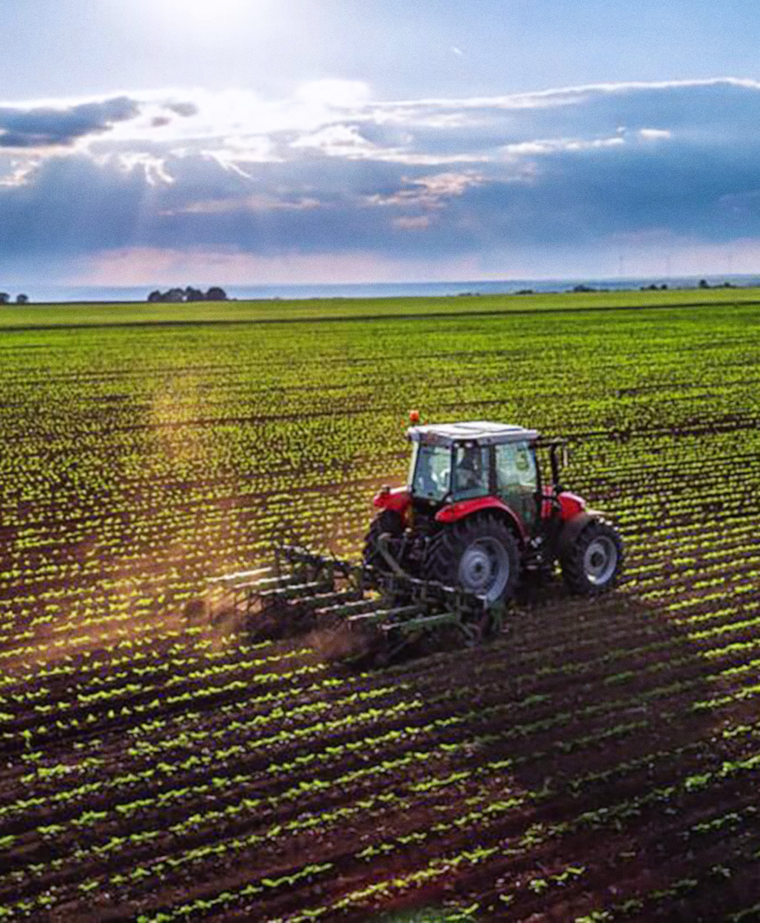 Agro_01
